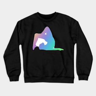 A flexible Acrobat Crewneck Sweatshirt